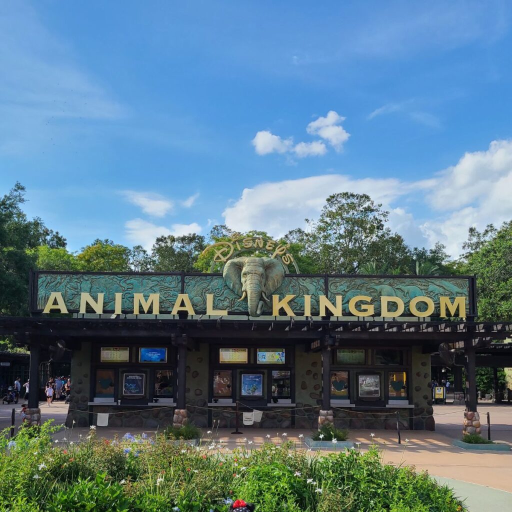 Animal Kingdom - Disney World theme parks