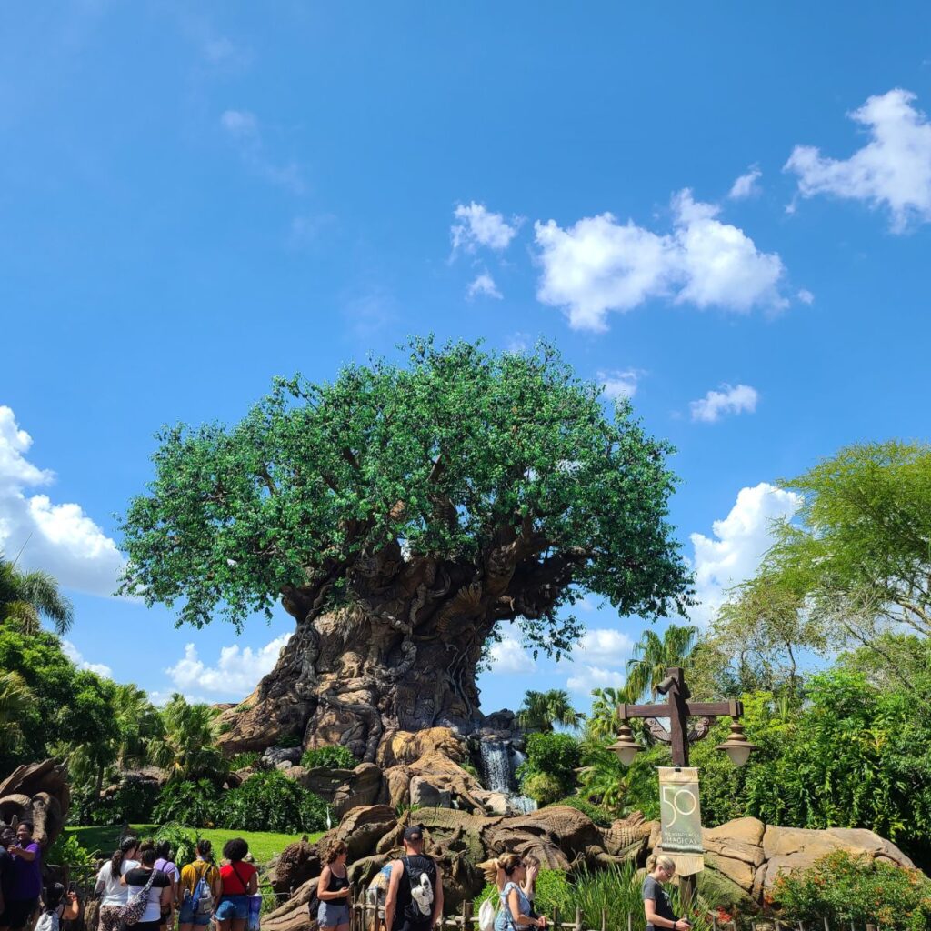 Tree of Life at Disney's animal kingdom