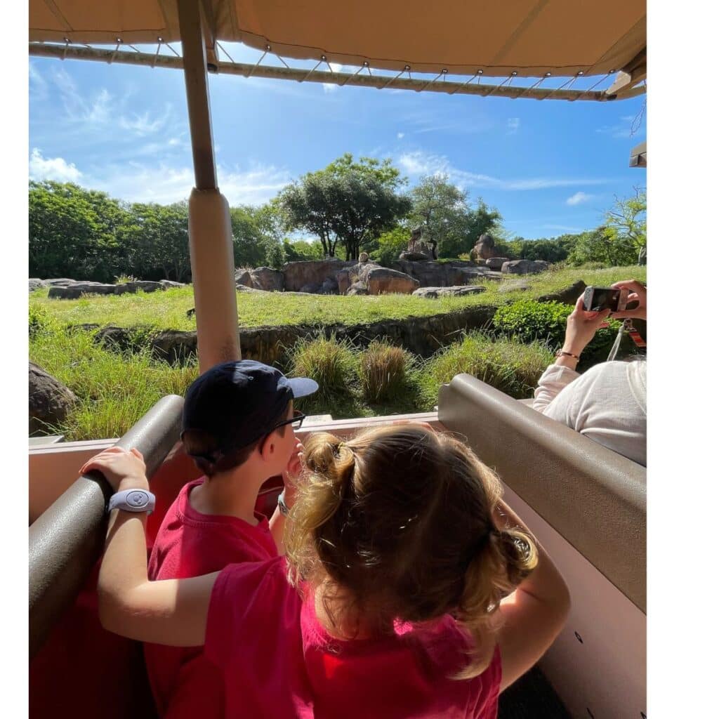 animal kingdom safari ride - children looking at animals from inside the jeep