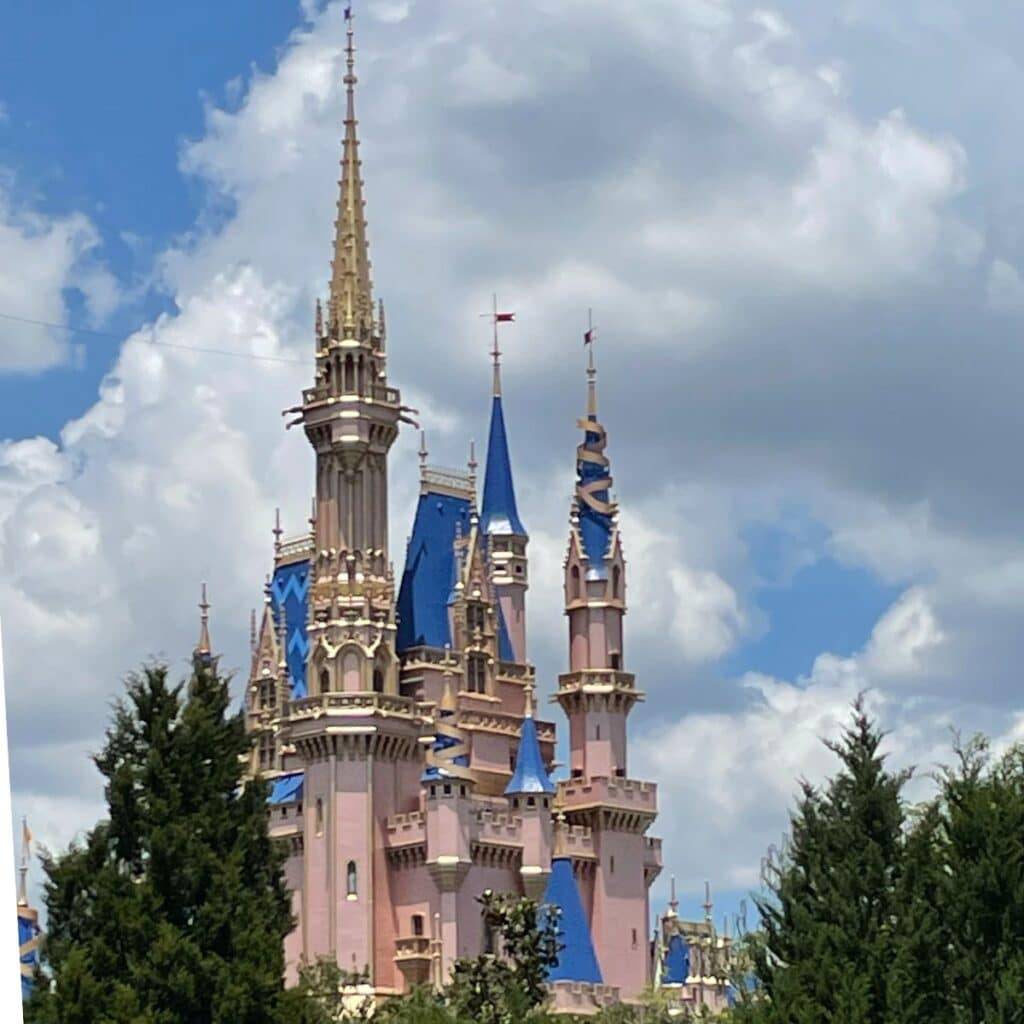 magic kingdom castle - how to avoid lines at disney world