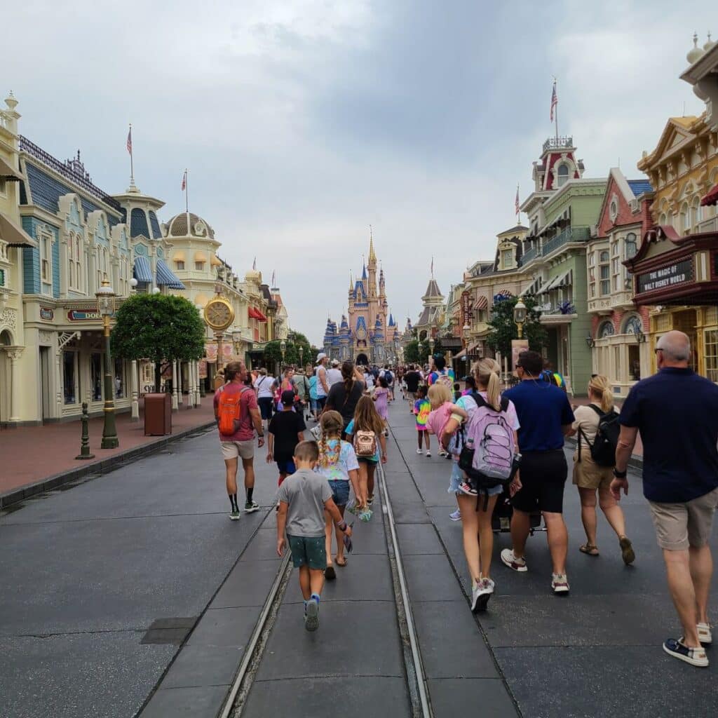 Disney Cinderella Castle in a distance