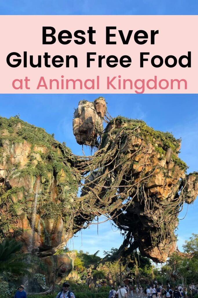 Gluten Free Animal Kingdom - best ever gluten free food at Animal Kingdom - pandora world shown.