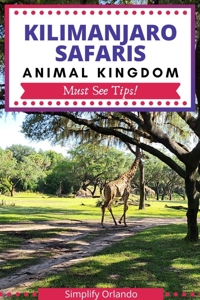 Kilimanjaro Safaris at Disney's Animal Kingdom - must see tips - giraffe on safari