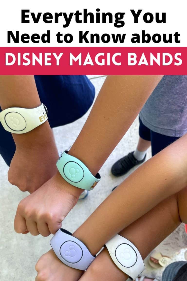 Can You Reuse Magic Bands? (Disney MagicBand FAQs)