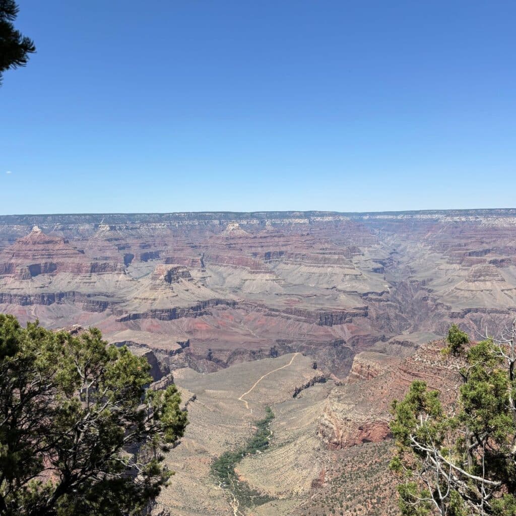 view of the Grand Canyon