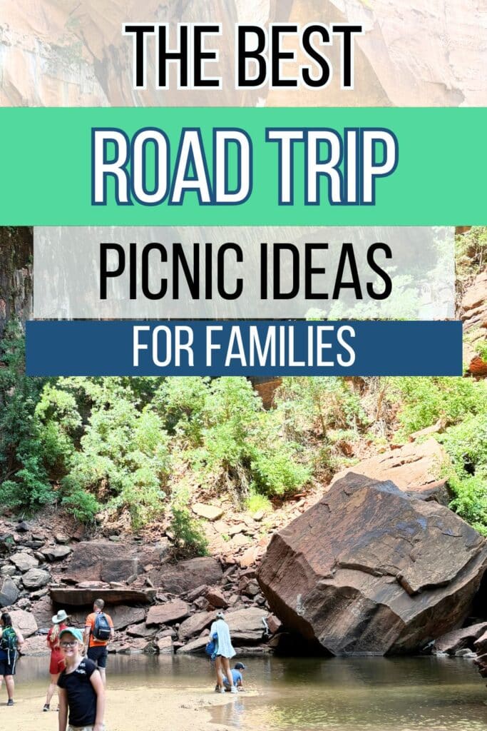 the best road trip picnic ideas for families