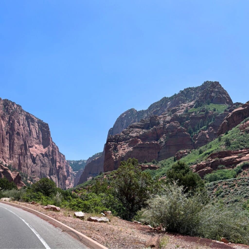 Zion National Park roadside picnic