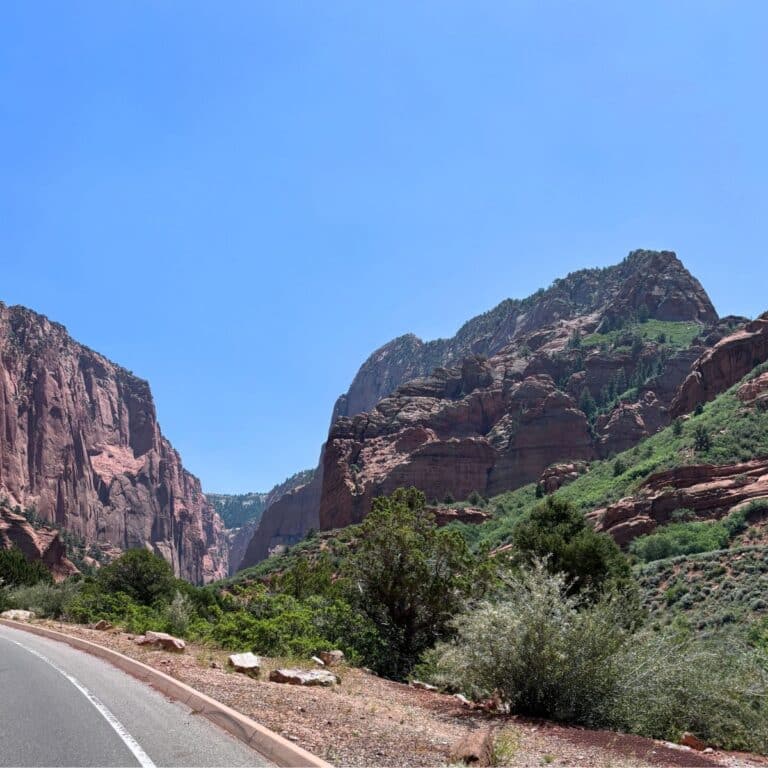 road trip picnic ideas - roadside of National park ideas