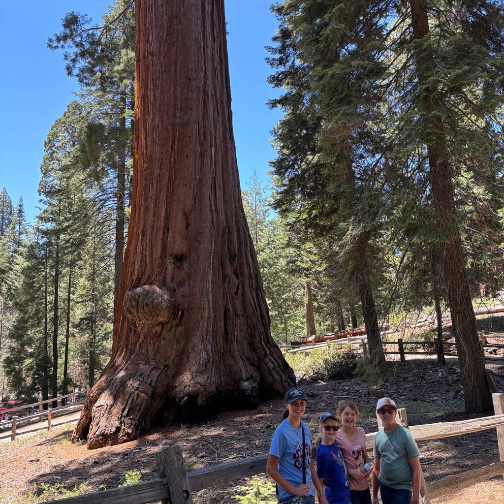 General Grant tree at Sequoia National Park