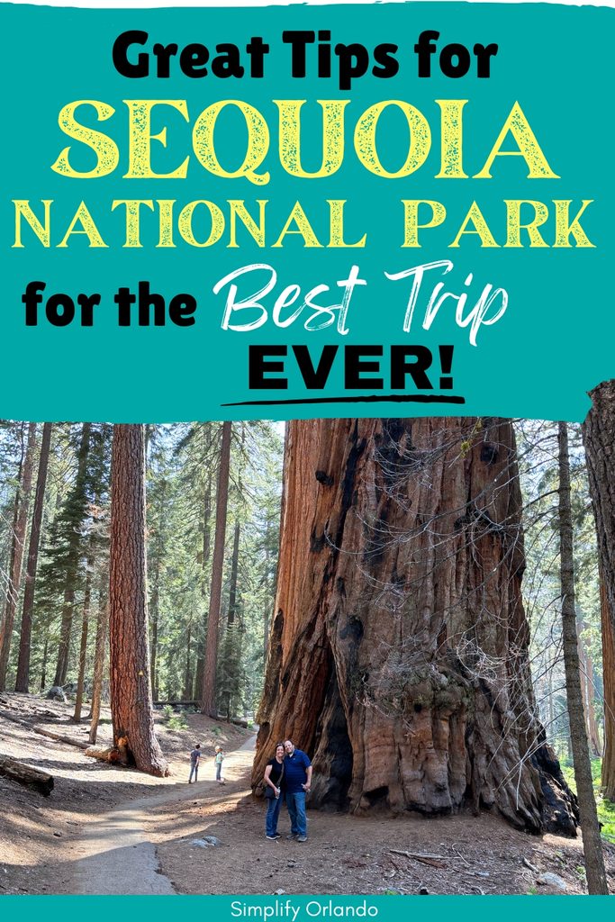Great tips for Sequoia National Park for the best trip ever