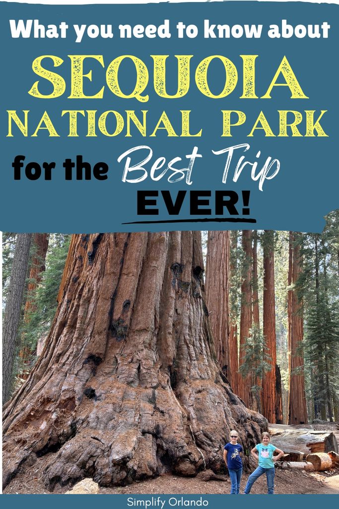what you need to know about Sequoia National Park for the best trip ever!