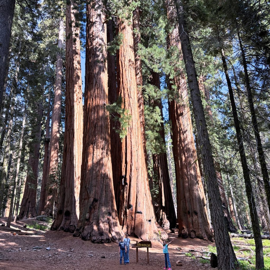 The House, Congress Trail, Sequoia National Park