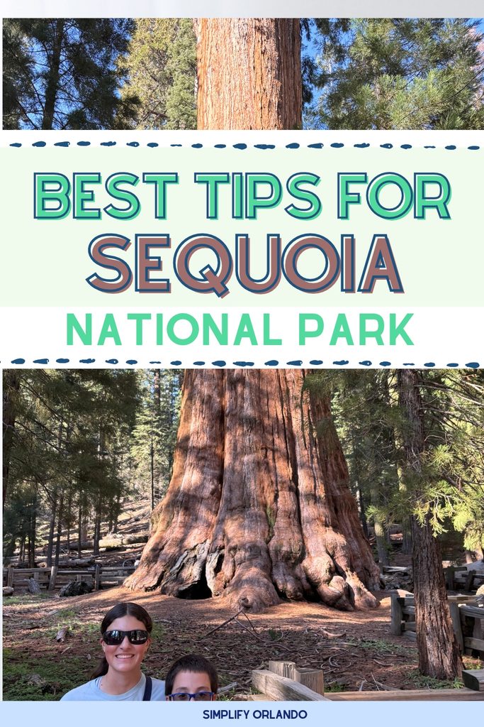 best tips for Sequoia National Park