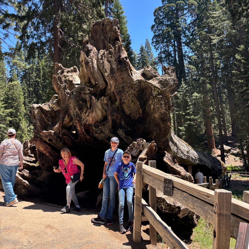 Fallen Monarch at Sequoia National Park